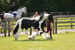 SBM_04138