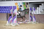SBM_000198