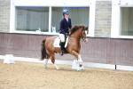 SBM_001246