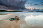 Lobster Pot