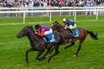 150526-Race 7-Portcullis-0417