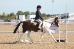 SBM_12293