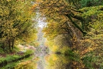 Between Bridges 29 and 30, Macclesfield Canal (2)