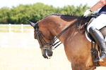 SBM_009613