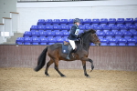 SBM_001651