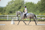SBM_010017