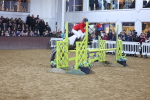SBM_003913