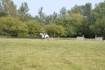 WJ6_1863