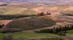 IMG_8874