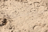 2R6A4689