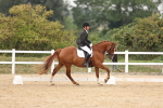 SBM_01552