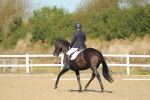 SBM_000660