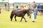 SBM_04326