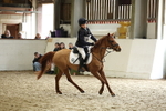 AJG_3448