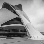 Proboscis, Palau de les Arts Reina Sofia, Valencia - Panoramic Version