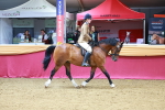 SBM_00738
