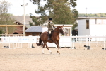 SBM_18205