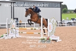 BPP_8255