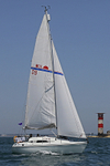 190629 EGRET GBR3807L D43A4841_Portrait