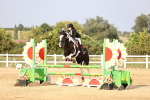 SBM_03843