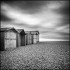 BACK TO THE WIND