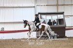 BPP_8587