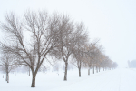 Golf Course Rd, Minneota