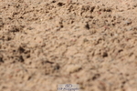 240706A-151904-03858