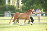 SBM_10586