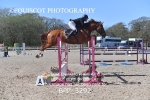 BPP_3292