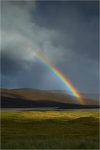 Luskentyre Bow