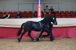 SBM_17412