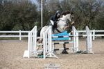 Cls 6 Pony Foxhunter & 1.10m Open portfolio
