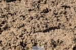 260314-110304-03862