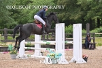 BPP_1453