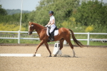 SBM_009476