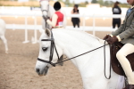 SBM_03757