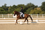 SBM_006881