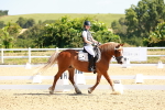 SBM_009796