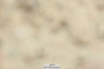 230630A-100639-00022