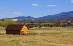 Red Door Barn