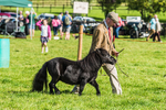 Loweswater Show-22