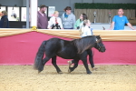 SBM_16583