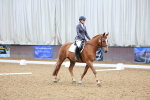 SBM_000948
