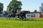 180524-Race 6-Diamondonthehill-Yorkshire-9805