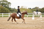 SBM_002755