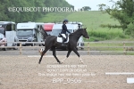 BPP_9506