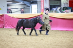 SBM_00295
