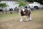 WJ6_8029