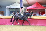 SBM_00726